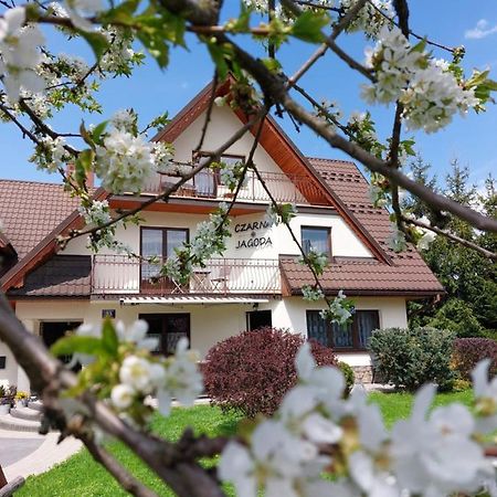 Czarna Jagoda Czarna Gora Bagian luar foto