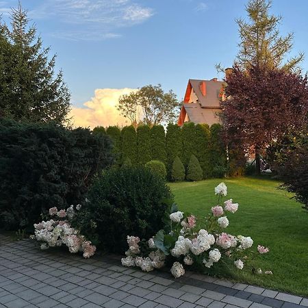 Czarna Jagoda Czarna Gora Bagian luar foto