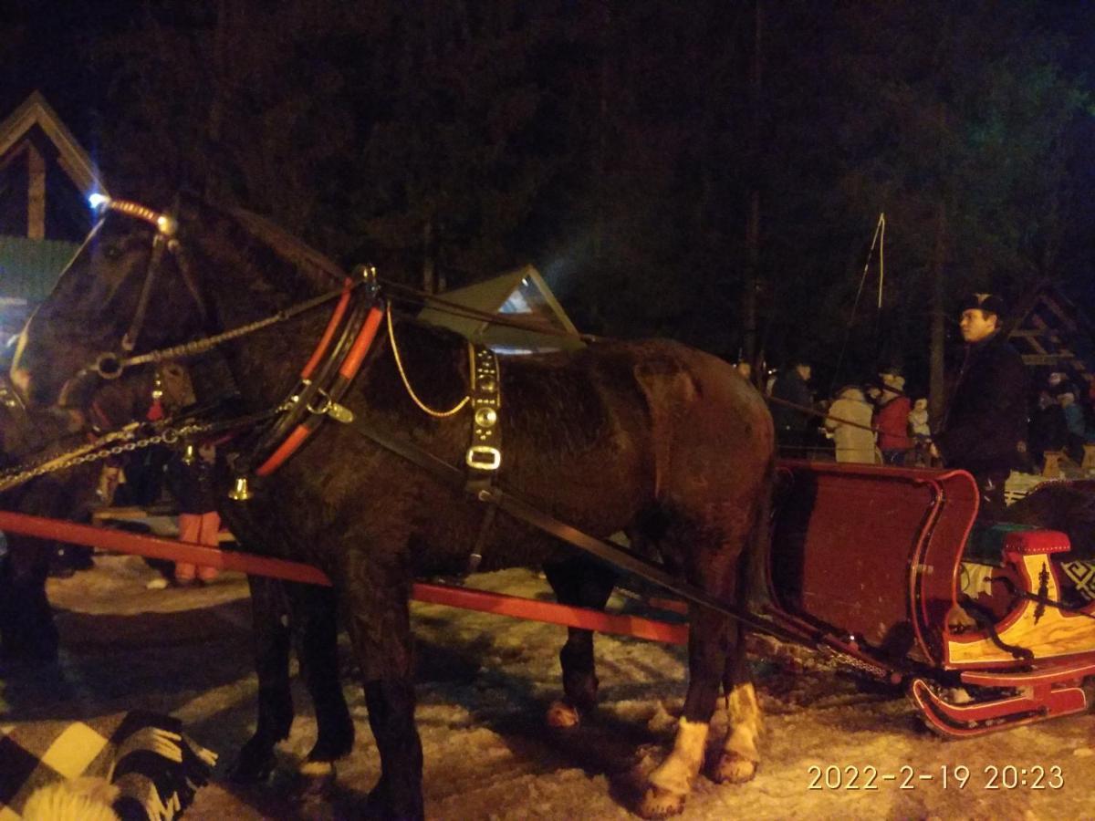 Czarna Jagoda Czarna Gora Bagian luar foto