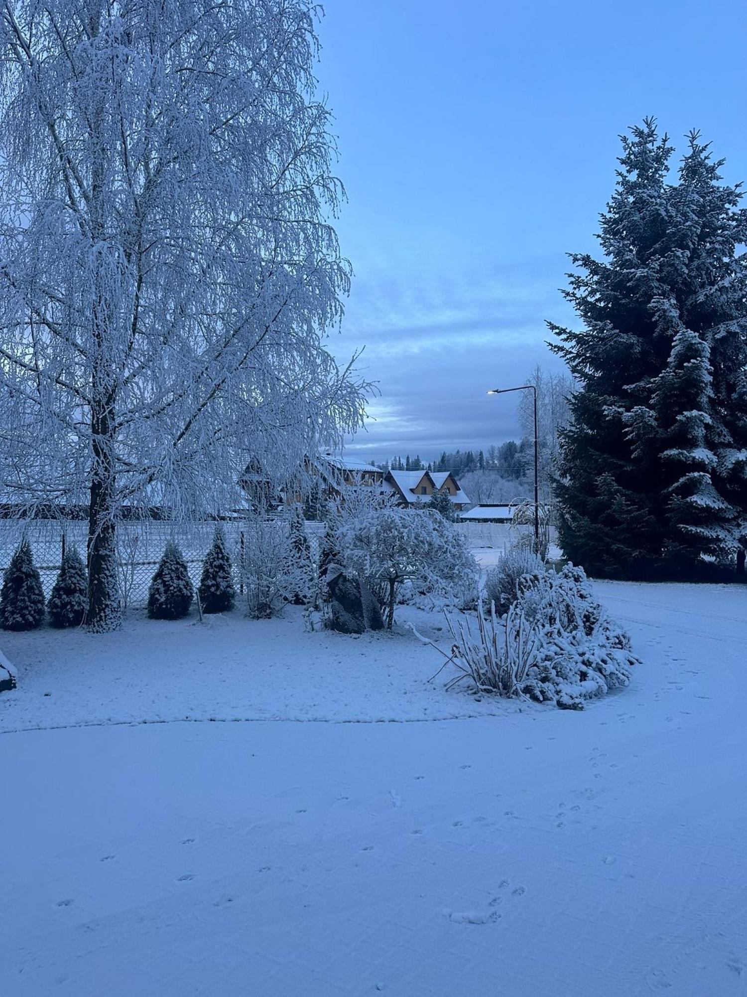 Czarna Jagoda Czarna Gora Bagian luar foto