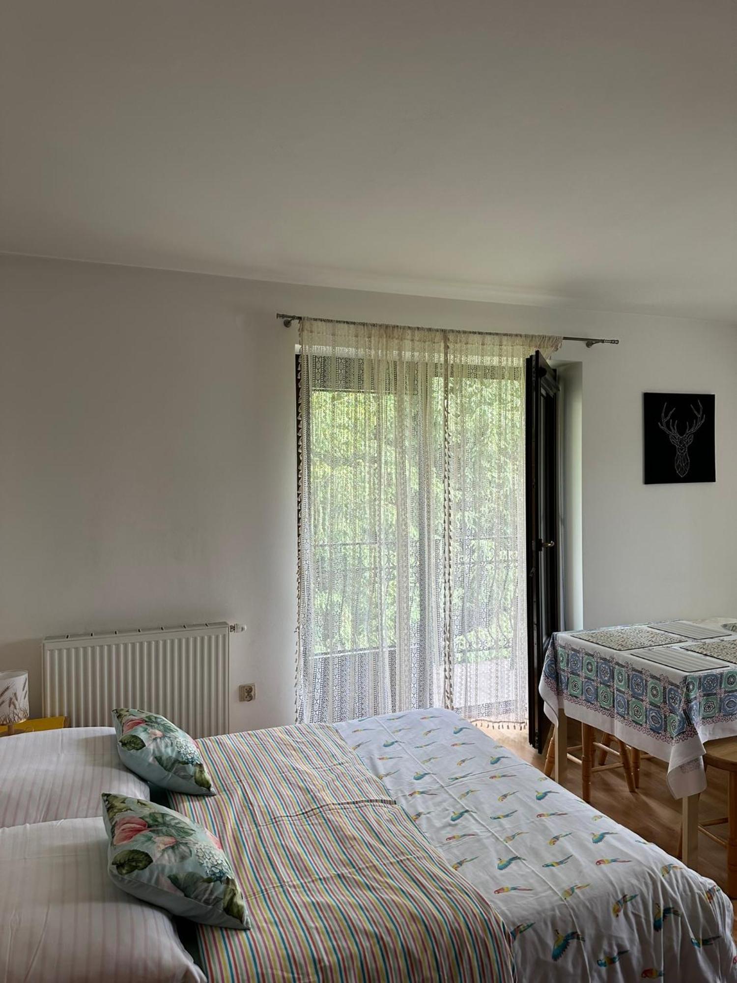 Czarna Jagoda Czarna Gora Bagian luar foto