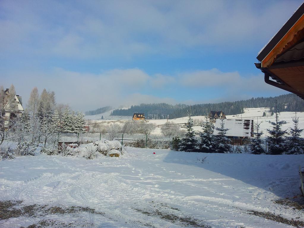 Czarna Jagoda Czarna Gora Bagian luar foto