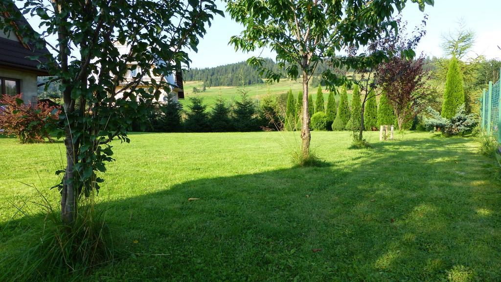 Czarna Jagoda Czarna Gora Bagian luar foto