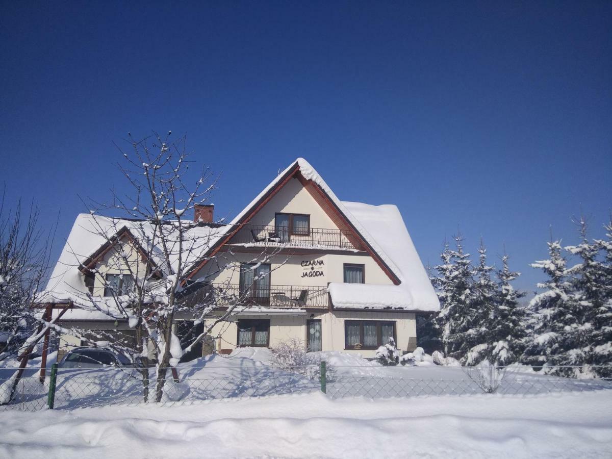Czarna Jagoda Czarna Gora Bagian luar foto